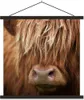 MuchoWow® Textilposter Schottisches Hochlandrind - Nase - Produktbild-Vorschau 1