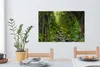MuchoWow® - Leinwandbilder - Natur - Wasser - Dschungel - Produktbild-Vorschau 6
