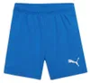 Puma Teamrise Shorts Kinder - Royal Produktbild-Vorschau 3