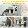 PawHut Escalier pour animaux domestiques réglable 3/4 Voir les images du produit 6