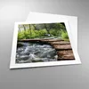 Poster - Poster ohne Rahmen - Park natur grün bäume - 50x50 Produktbild-Vorschau 3