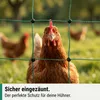 Zemědělská zóna Síť na drůbež 50 m x 112 cm, dvojitý hrot, Náhled obrázku produktu 2