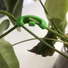 30 Stück 90 Grad Plant Bender, Pflanzen Biegetrainer, Produktbild-Vorschau 5