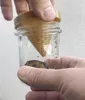 Fruchtfliegen-Lebendfalle "Frubby" 105301 4260692660012 Produktbild-Vorschau 5