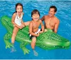Intex Crocodile Ride-on 203 x 114 cm Náhled obrázku produktu 8
