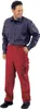 Planam Bundhose Canvas 320 Gr. 52 rot Produktbild-Vorschau 6