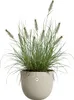 Blumentopf Elho Sereh Kunststoff 39 x 39 x 33,3 cm beige Produktbild-Vorschau 5