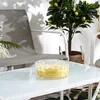 Citronella Duftkerze Ø 19 cm – Anti-Mücken Outdoor-Kerze Produktbild-Vorschau 2