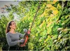 Einhell Akku-Heckenschere GP-CH 18/61 Li BL-Solo Produktbild-Vorschau 10