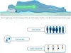 Diagram illustrating the benefits of a mattress topper, showing spinal alignment and features like suitability for different body types and sleep climates. Produktbild-Vorschau