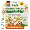 Power Florfliegenlarven gegen Blattläuse und Wollläuse– 1 Produktbild-Vorschau 1