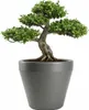 HowHomely | Jardinière - Bac à fleurs - gris - L61xH56 cm - Voir les images du produit 1