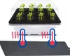 A seedling tray with young plants sits on a white base, with two thermometers and a heating mat below, indicating temperature control for germination. Podgląd zdjęcia produktu