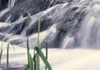Akustikbild Natur Landschaft 200x100 cm Bilder Produktbild-Vorschau 3