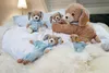 Steiff Gute Nacht Hund 28 cm Kuscheltier 239687 Produktbild-Vorschau 2