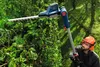 Bosch GHE 18V-50 TP, Bürstenschneider, Blade, Produktbild-Vorschau 21