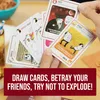 Exploding Kittens: (Kartenspiel in englischer Version Produktbild-Vorschau 8