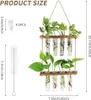 Hängen Pflanzgefäße, 2 Stufen Propagation Station, Ableger Produktbild-Vorschau 2
