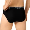 sloggi 6er Pack Start Midi Slip / Unterhose Moderne Midi Produktbild-Vorschau 3