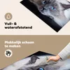KitchenYeah© Herdabdeckplatte Katze - Grau - Nahaufnahme , Produktbild-Vorschau 2