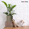 A green plant in a textured gray pot sits on a wooden crate next to two notebooks and an ampersand decoration, all against a white brick wall. Náhled obrázku produktu