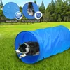 A dog runs through a blue agility tunnel in a grassy field. Voir les images du produit