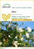 SAFLAX  - Mirto - 30 semi - Myrtus Anteprima dell’immagine prodotto 1