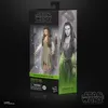 Hasbro - Star Wars Return Of The Jedi The Black Series Náhled obrázku produktu 9