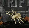 Spinnen Skelett Spinne Knochen Halloween Horror Dekoration Produktbild-Vorschau 10