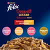 FELIX Tak dobré, ako to vyzerá Dvojnásobne chutné mokré Náhľad obrázku produktu 2