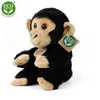 Peluche Scimpanzé 18 Cm Ecologico Anteprima dell’immagine prodotto 9
