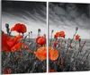 A diptych image of a field of red poppies against a black and white sky. Produktbild-Vorschau