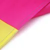 LGBT Regenbogenflagge groß 90 x 150 cm Pansexualität F2 Produktbild-Vorschau 11