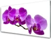 Acrylglasbilder 100x50 Wandbild Druck Blumen Pflanzen Produktbild-Vorschau 1
