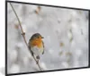 MuchoWow® Gerahmtes Poster Vogel - Rotkehlchen - Winter Produktbild-Vorschau 1