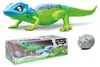 Zdalnie sterowana jaszczurka RC, 35 cm Podgląd zdjęcia produktu 2
