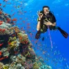 Bastone per immersione, asta per immersione, puntatore per Anteprima dell’immagine prodotto 3