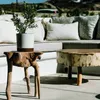 An outdoor seating area with a plant on a side table. Náhľad obrázku produktu
