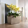 LECHUZA Vase à plantes CARARO Premium Anthracite Métallisé Voir les images du produit 16