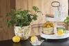 A kitchen counter scene with a plant in a lemon-patterned pot, lemons, a tiered tray with mugs and crackers, and a manual juicer. Produktbild-Vorschau