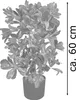 Schefflera Arboricola Plante Arbre Artificielle Artificiel Voir les images du produit 6