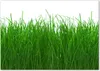 Tulup® Leinwandbild - 100x70 cm - Wandkunst - Drucke auf Produktbild-Vorschau 1