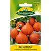 Quedlinburger Saatgut - Hokkaido-Kürbis Uchiki Kuri - Samen Produktbild-Vorschau 3