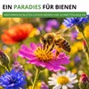 Wildblumenmischung - 100 g Samen für Wildblumenwiese - Produktbild-Vorschau 5