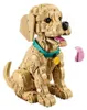 LEGO® Icons 11384 Golden Retriever Welpe Produktbild-Vorschau 18