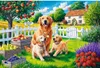 Puzzle TREFL 300 pièces faciles pour seniors Chiens à la Voir les images du produit 2