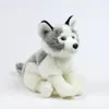 A plush toy husky dog sitting on a white background. Produktbild-Vorschau