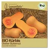 Samenliebe  Kürbis Samen | Glatter Butternut - nussig - Produktbild-Vorschau 1