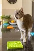 CATSTER MINI LickiMat, Barva: Zelená Náhled obrázku produktu 8