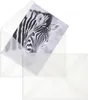 Transparente Briefumschläge - Weiß (Transparent-Weiß)162 x Produktbild-Vorschau 1